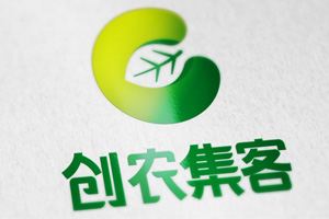 创农集客logo设计定稿,星空电子原创设计