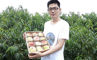 星空电子设计和蜜桃哥走过了三年·····