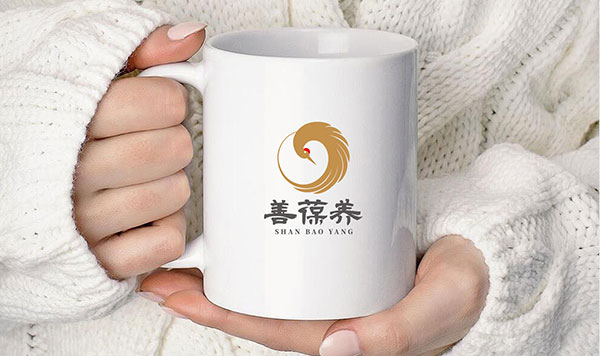 善葆logo形象设计x星空电子设计